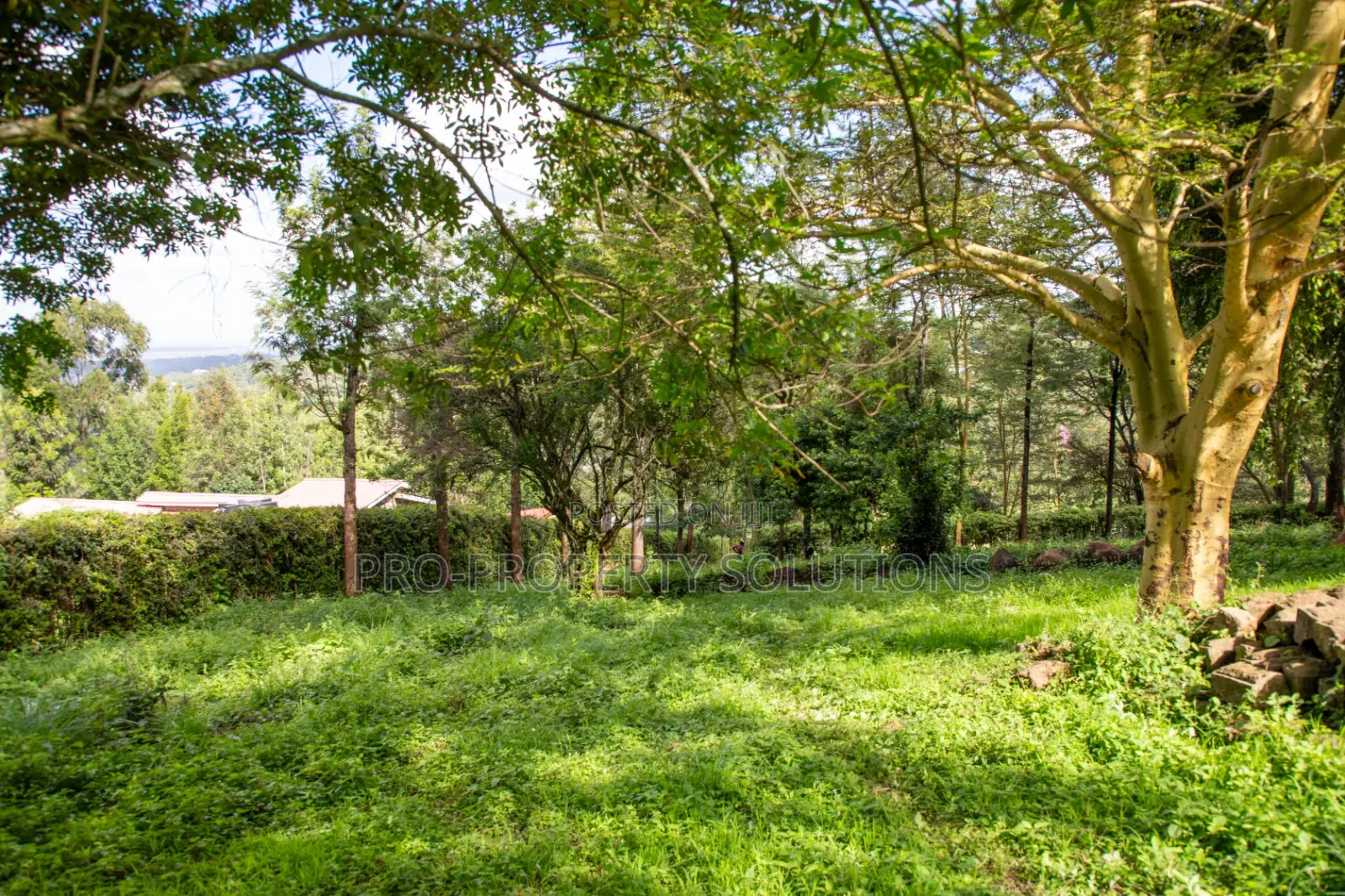 Prime 2-Acre Residential Land for Sale in Ngong – Matasia