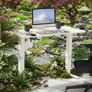 Office Desk; Home Office Ergonomic Electric Desks