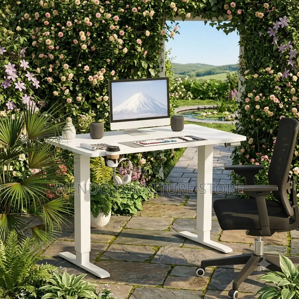 Office Desk; Home Office Ergonomic Electric Desks