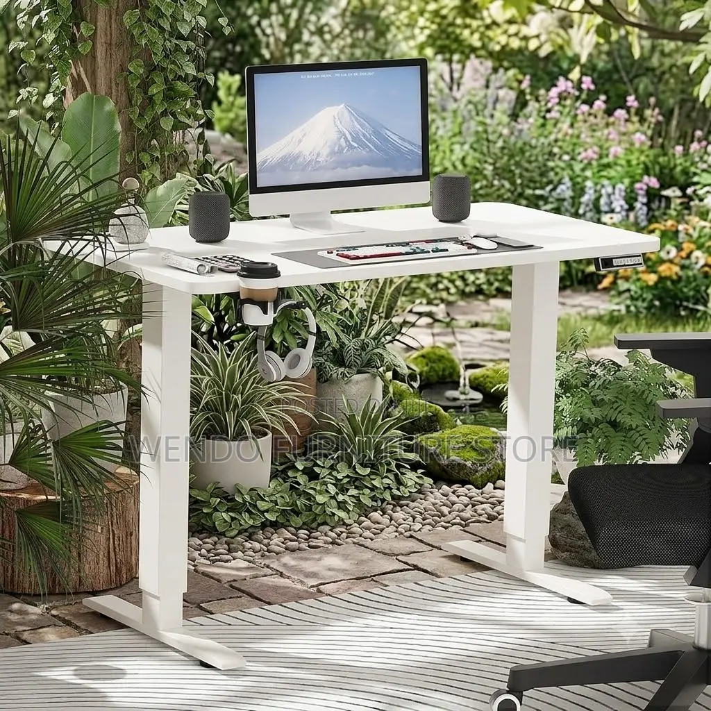 Office Desk; Home Office Ergonomic Electric Desks
