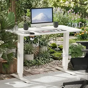 Office Desk; Home Office Ergonomic Electric Desks