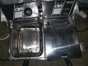 Fryer-Double Unit