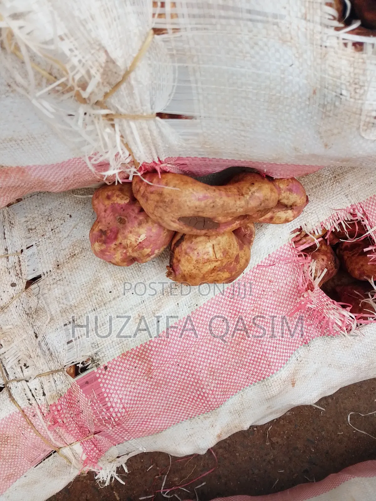 Fresh Sweet Potatoes
