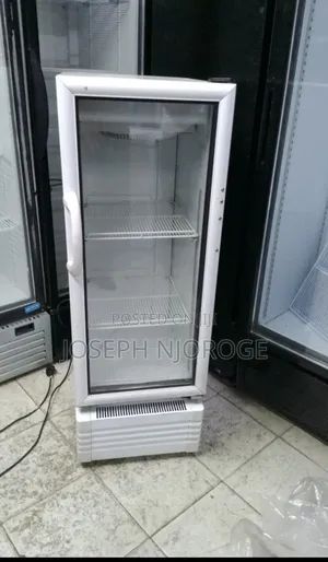 Pocket Friendly Display Fridge