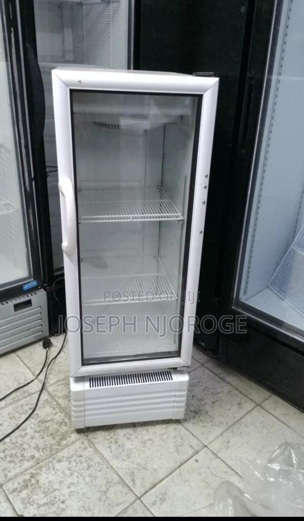 Pocket Friendly Display Fridge