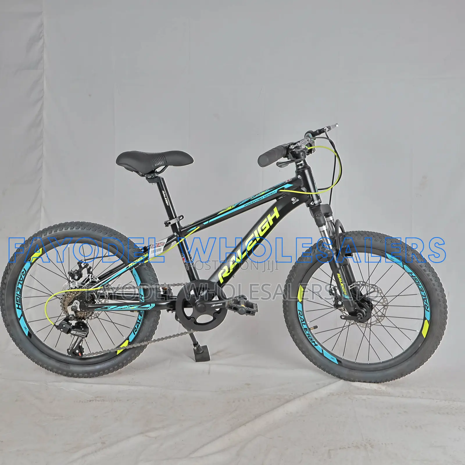 Raleigh MTB With Disc Brakes – Ready to Ride