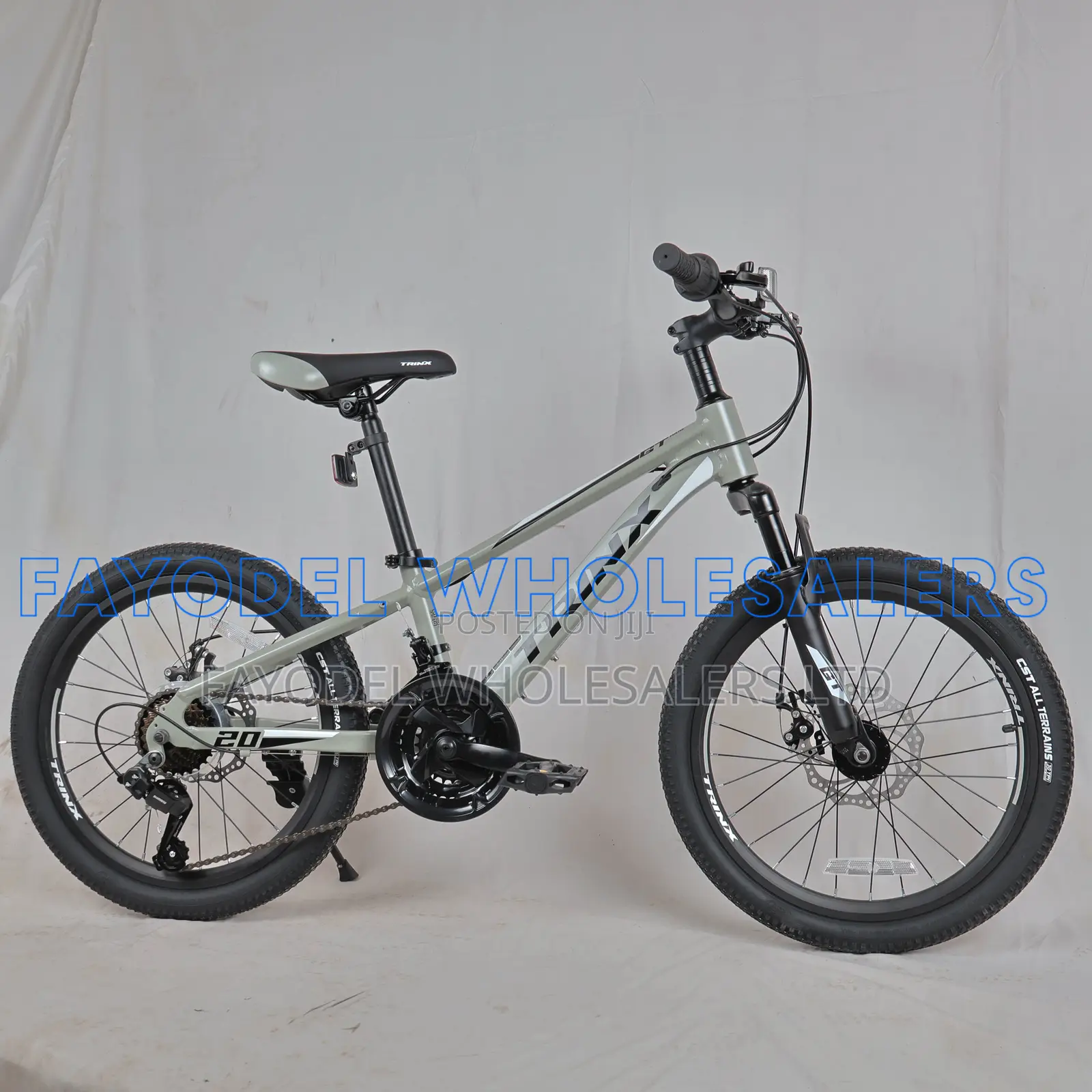 20-Inch Trinx Mountain Bike – Smooth Comfortable