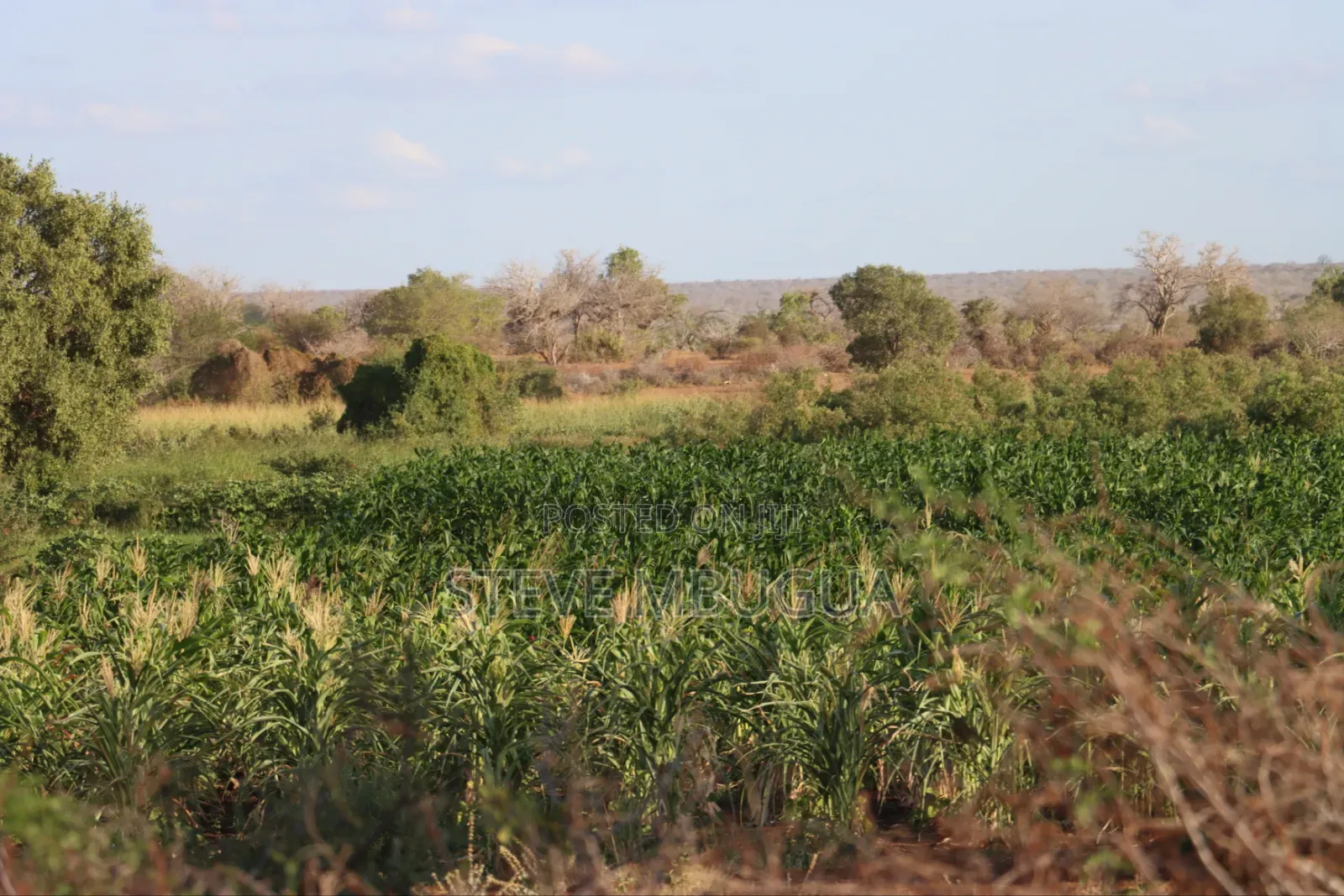 5 Acres for Farming or Residential