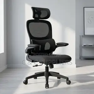 Office Ergonomic Chair With Flipping Arms