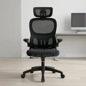 Office Ergonomic Chair With Flipping Arms