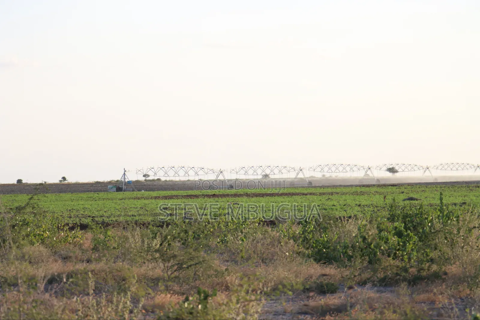 5 Acres for Farming or Residential