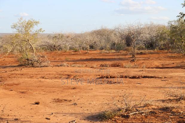 5 Acres for Farming or Residential - thumbnail 8