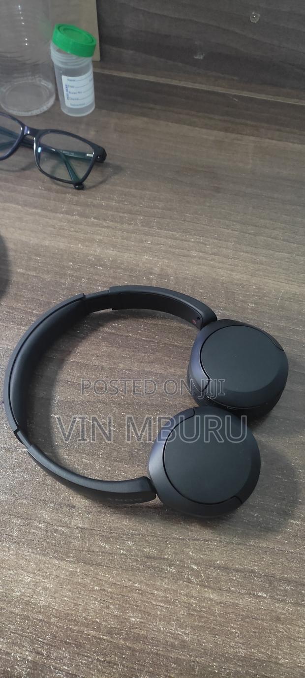 Sony Wh-Ch520 Headphones
