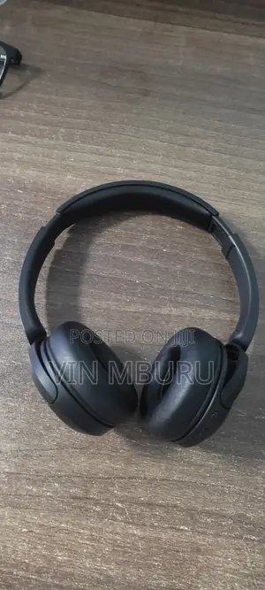 Sony Wh-Ch520 Headphones
