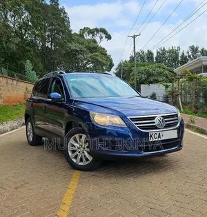 Volkswagen Tiguan 2.0 S 2009 Blue