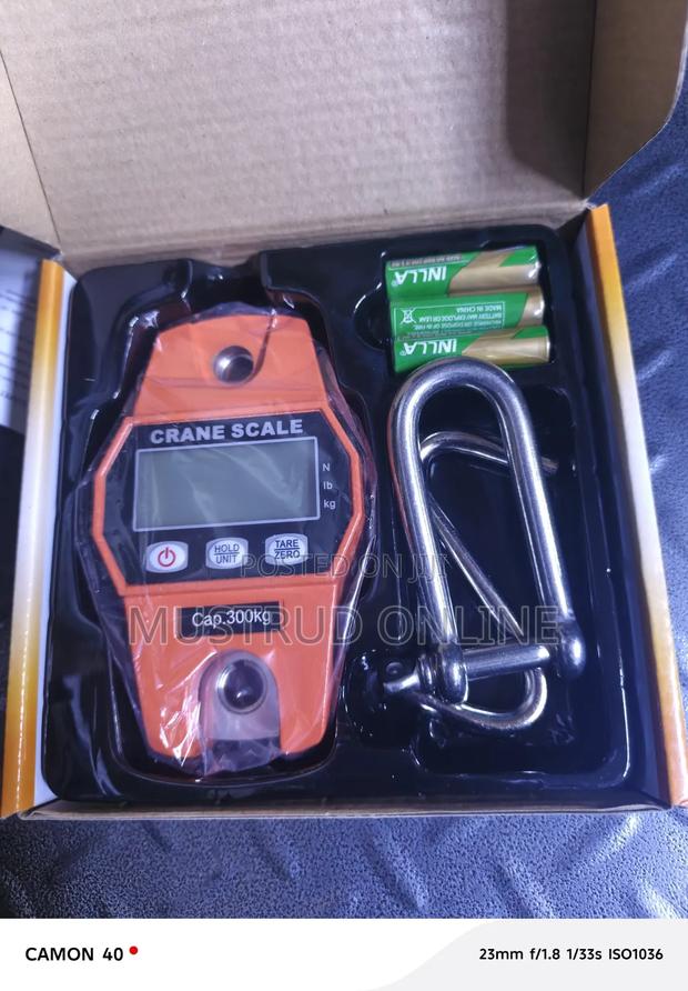 Digital Crane Scale