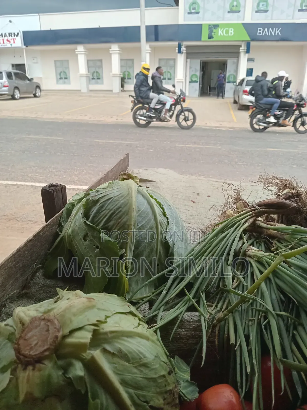 Cabbage for Sell