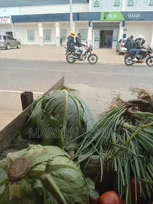Cabbage for Sell