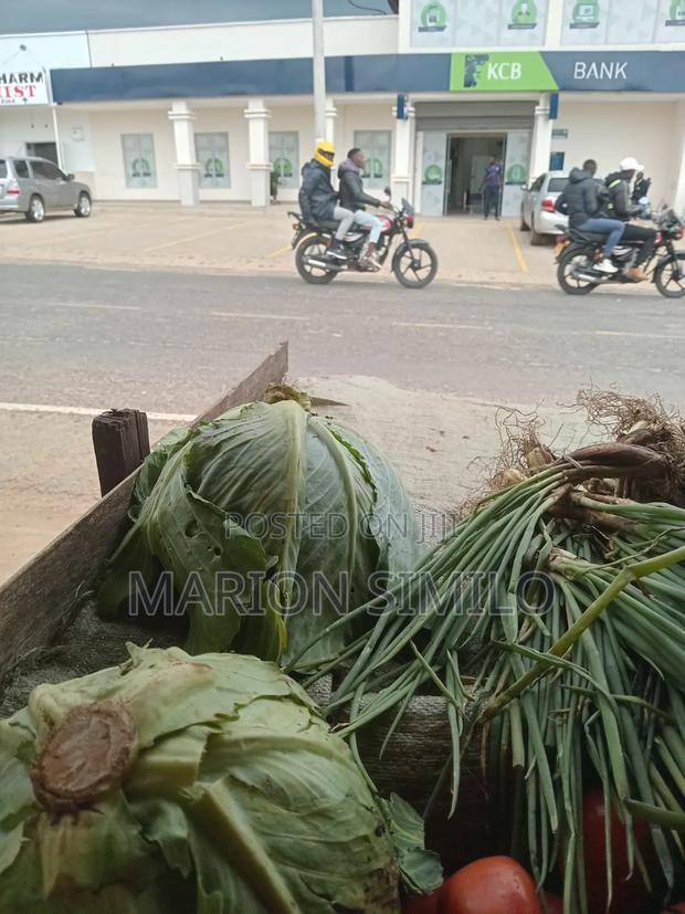 Cabbage for Sell