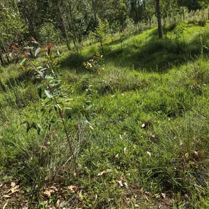 Urgent Sale – Prime 1.8 Acres Land in Oljororok (Kanguu)