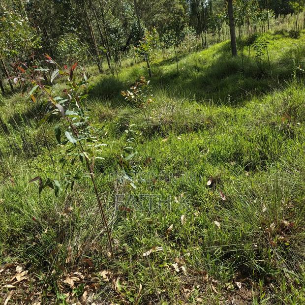 Urgent Sale – Prime 1.8 Acres Land in Oljororok (Kanguu)