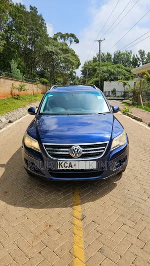 Volkswagen Tiguan 2009 Blue
