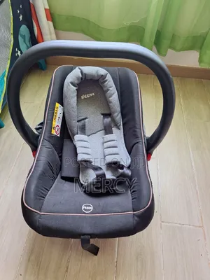 Car Sit Baby Carrier