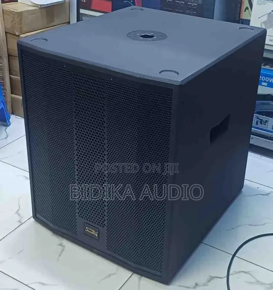 Soundking Powered Active Subwoofer