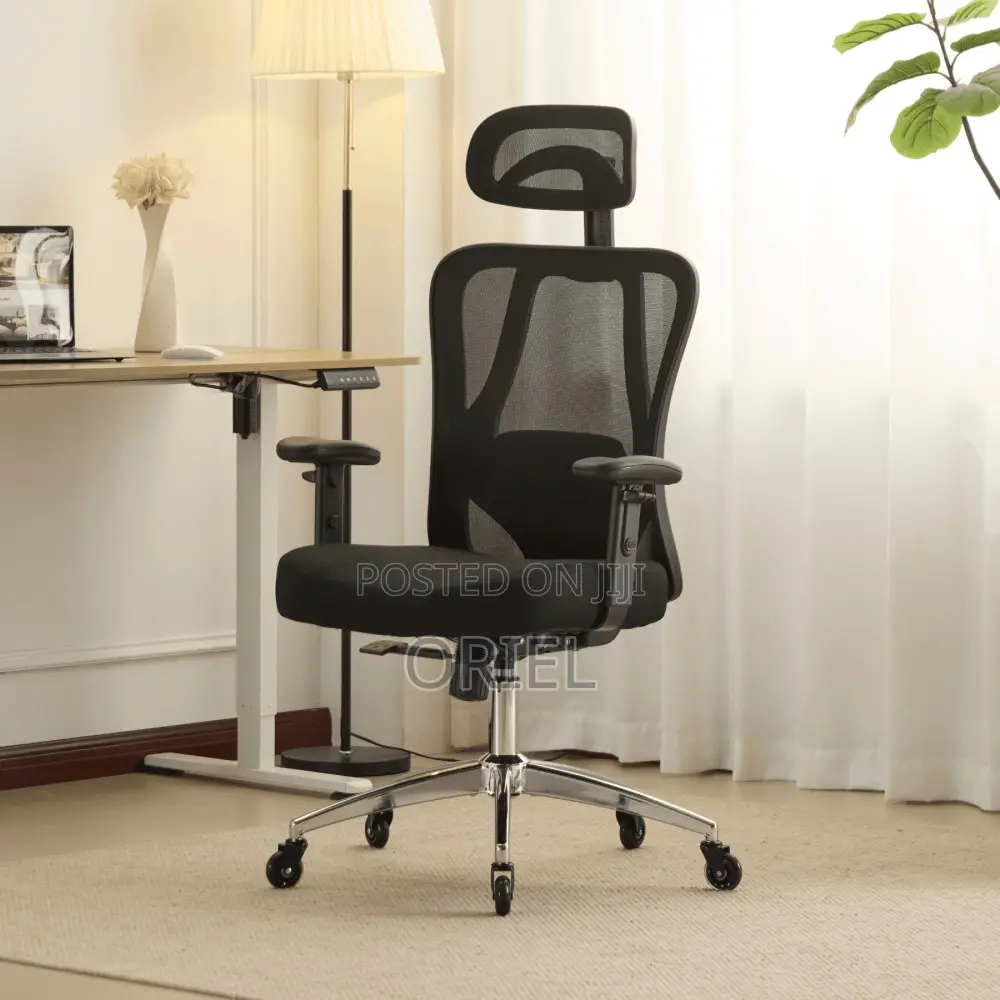 Office Chair : Orthopedic Office Seat