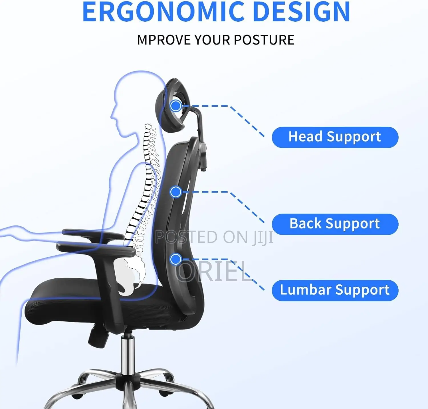Office Chair : Orthopedic Office Seat