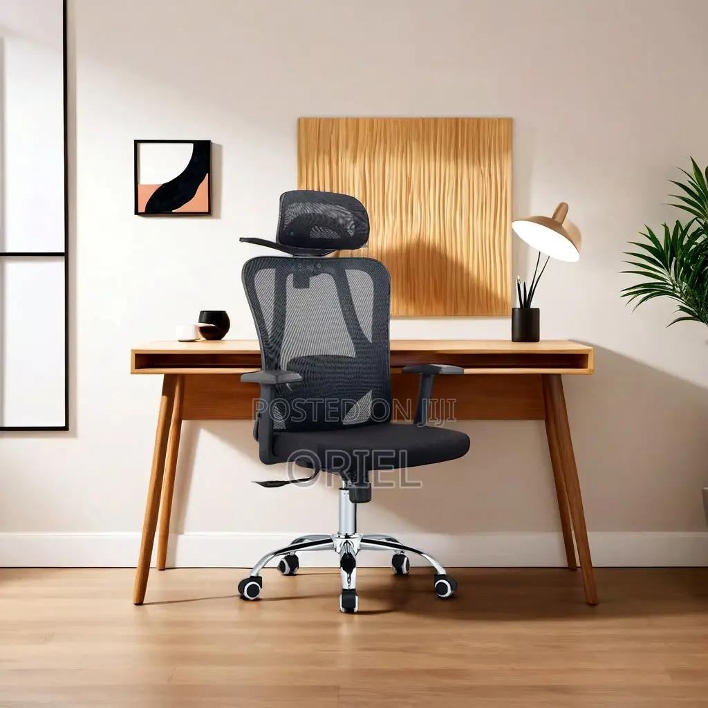 Office Chair : Orthopedic Office Seat