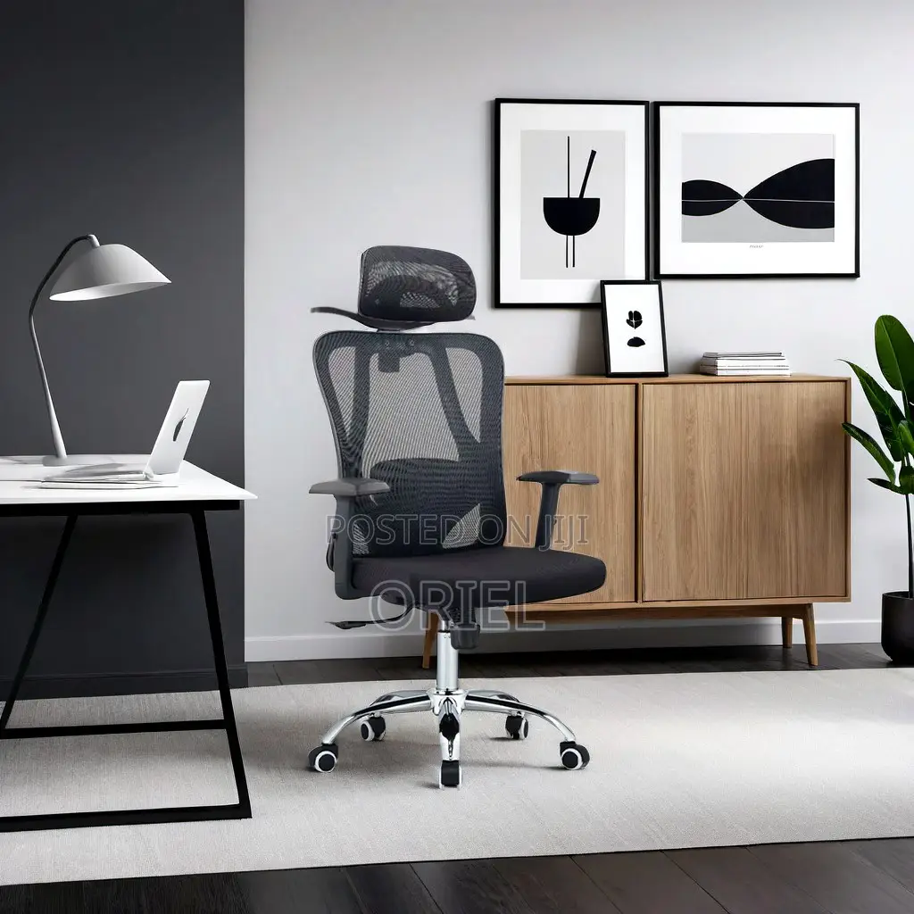 Office Chair : Orthopedic Office Seat