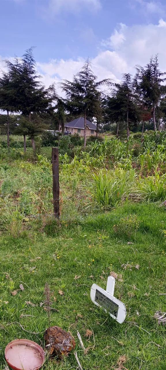 Land on Sale at Naivasha - thumbnail 2