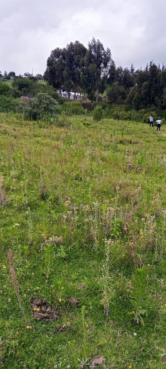 Land on Sale at Naivasha - thumbnail 4