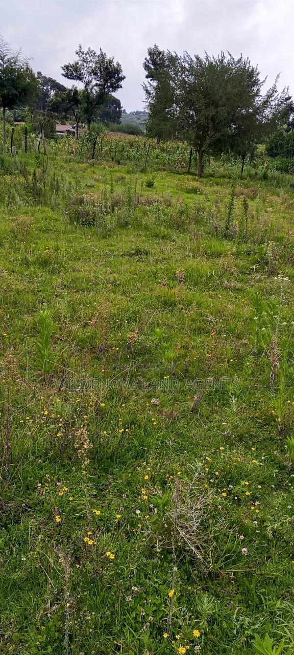 Land on Sale at Naivasha - thumbnail 5
