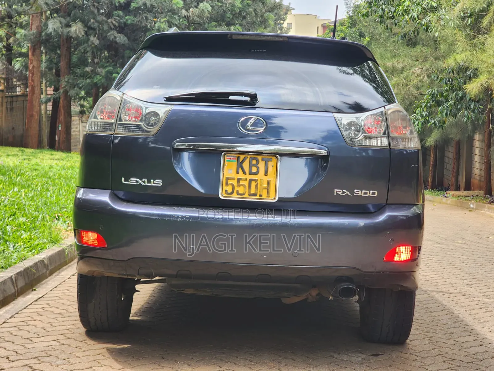 Lexus RX 2005 Blue