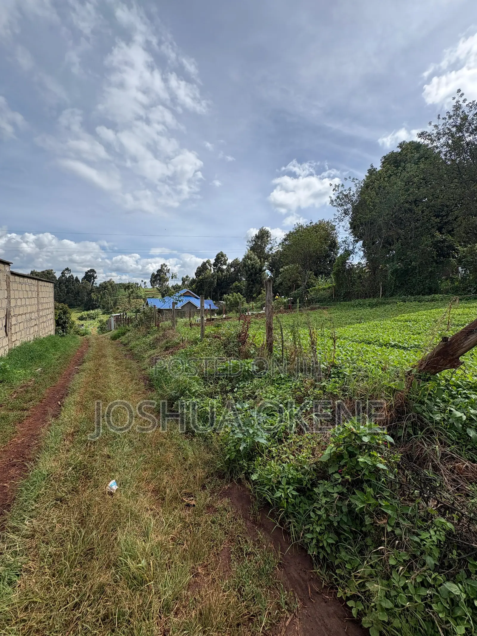 Plot for Sale