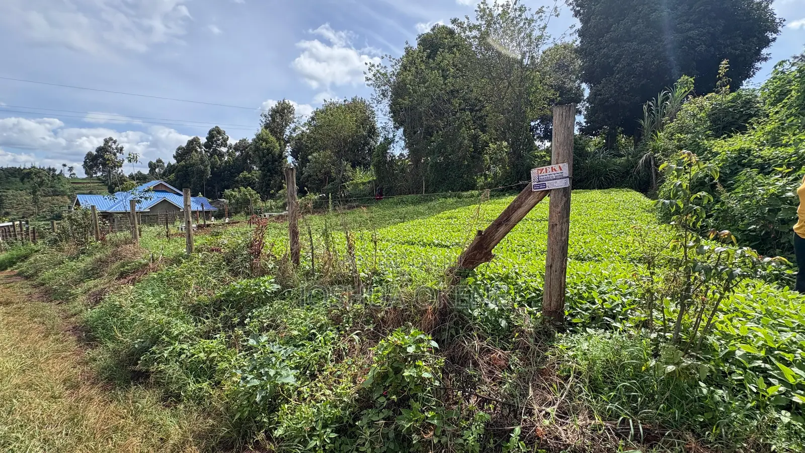 Plot for Sale