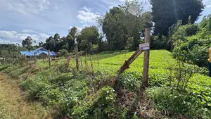 Plot for Sale