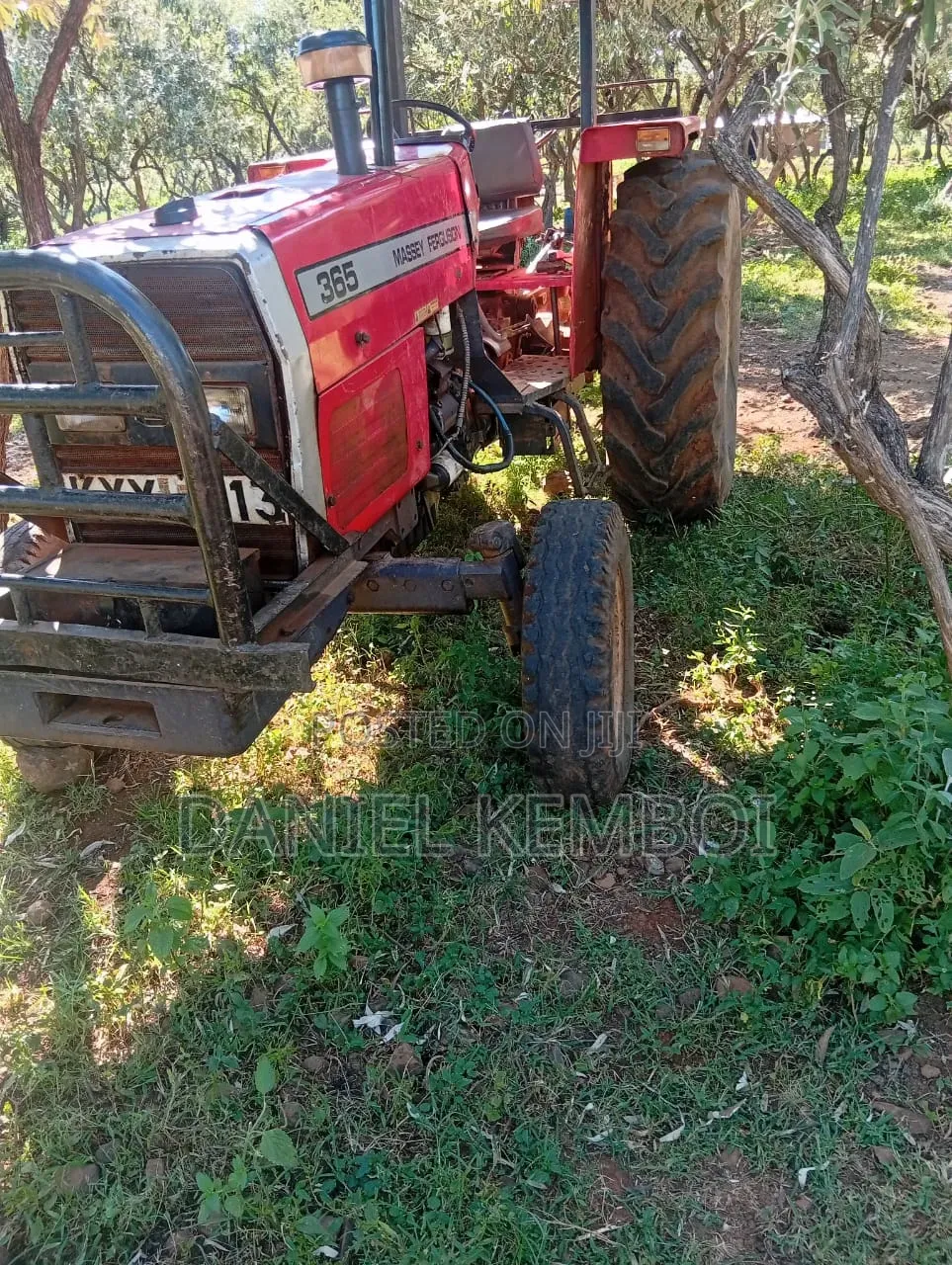 Massey Ferguson 365