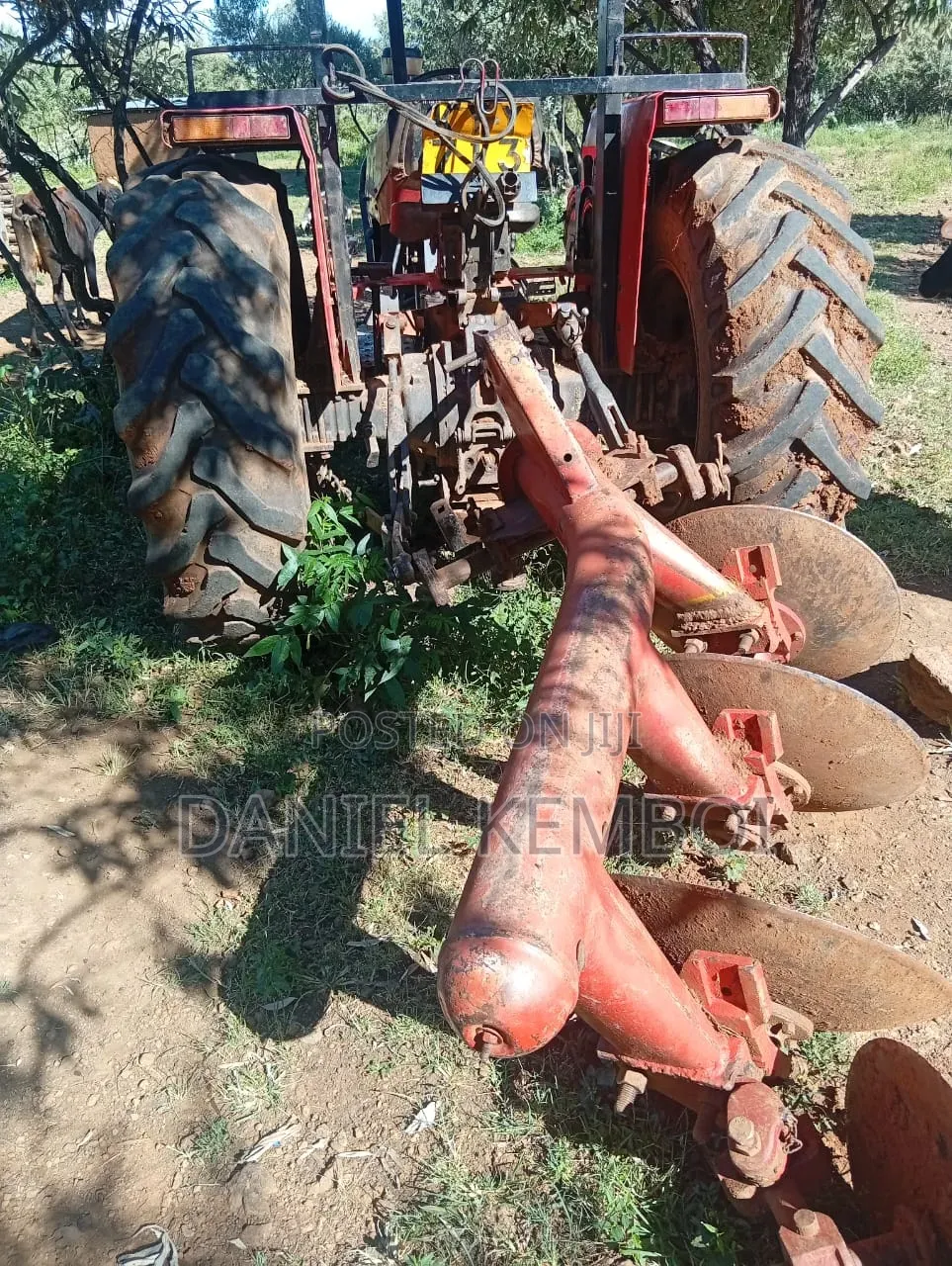 Massey Ferguson 365
