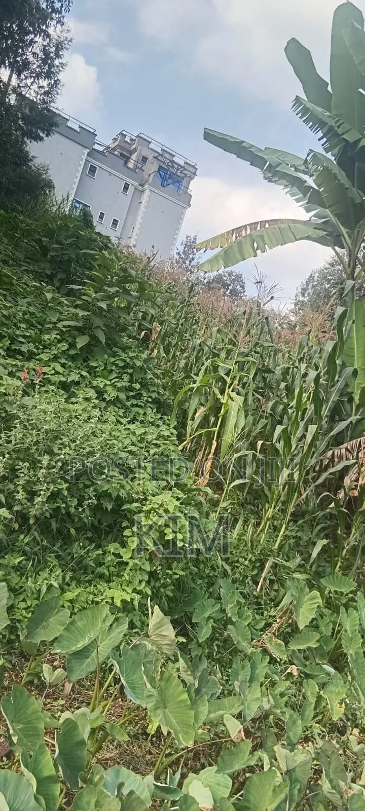 Half Acre Plot