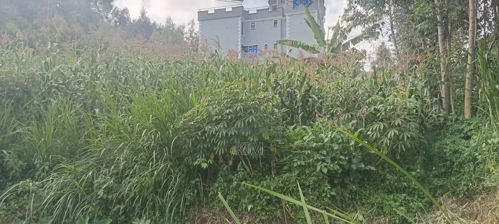 Half Acre Plot