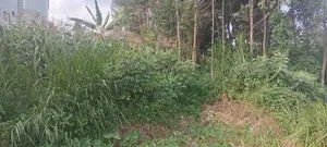 Half Acre Plot