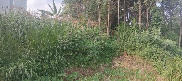 Half Acre Plot - thumbnail 3