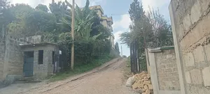 Half Acre Plot