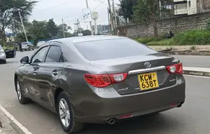 Toyota Mark X 2012 Brown