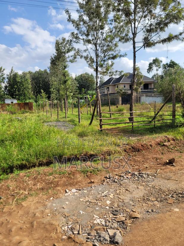 Premium Land - main view