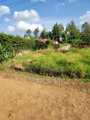 Premium Land