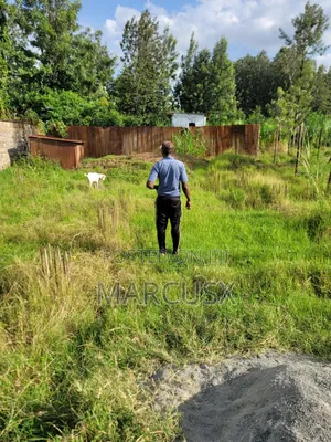 Premium Land
